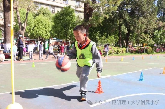 如何选择适合篮球康复训练的器材_1